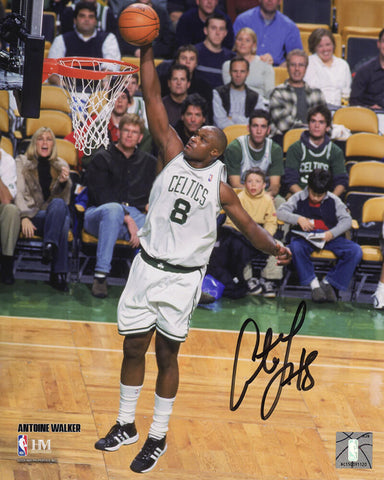 Antoine Walker Signed Boston Celtics Dunking Action 8x10 Photo - (SCHWARTZ COA)