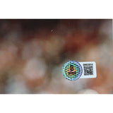 George Kittle Autographed San Francisco 49ers 16x20 Photo Beckett Witness 49877