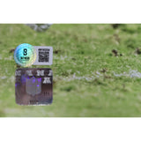 Ashton Jeanty Autographed Las Vegas Raiders 16x20 Photo Beckett Witness 53213