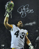 Troy Polamalu Signed/Autographed 16x20 Photo Pittsburgh Steelers Beckett 195318