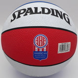 Julius Dr. J Erving Autographed Spalding ABA Basketball Nets Steiner Holo 233996