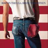 Bruce Springsteen "Born in The USA" Framed Platinum Vinyl Record Album Display
