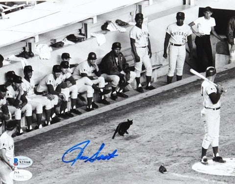 Ron Santo Signed Chicago 8x10 Photo (JSA) 1969 Cubs / Black Cat at Shea Stadium