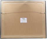 Joe Burrow Signed Framed 16x20 Cincinnati Bengals Photo Fanatics