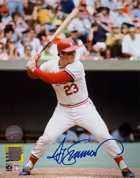 TED SIMMONS - St. Louis Cardinals Hall of Famer - Signed 8x10 STL Photo #1 AUTO