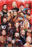 WWE Superstars (20) Hardy, Rollins, Stroman +17 Signed 16x24 Poster BAS #AE13981