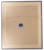 Tyreek Hill Signed Framed 16x20 Miami Dolphins Photo BAS