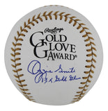 Cardinals Ozzie Smith "13x Gold Glove" Signed GG Logo Oml Baseball w/ Case Fan