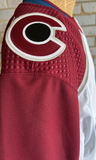 2022 Stanley Cup Champions Colorado Avalanche Team Signed Jersey JSA LOA