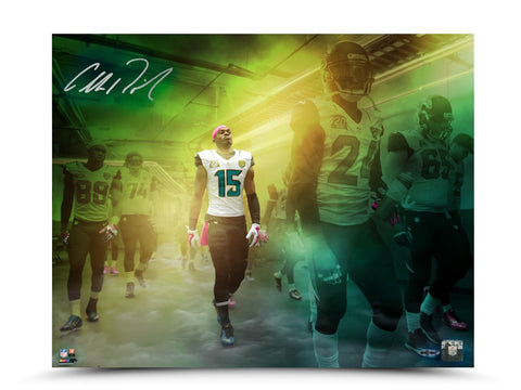Allen Robinson Autographed "Game Time" 16 x 20 Photo