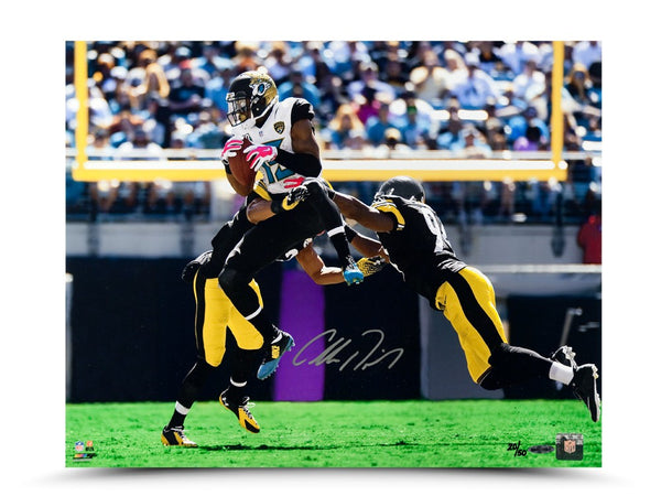 Allen Robinson Autographed "Smoked Over the Middle" 16 x 20 Photo