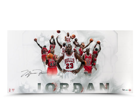 Michael Jordan Autographed #12 #23 #45 Jersey Number Photo