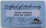 Andre Dawson Signed Florida Marlins Mitchell & Ness MLB Jersey (Palm Beach COA)