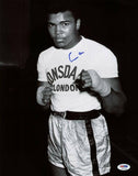 Muhammad Ali Signed 'Cassius Clay' Authentic 11X14 Photo PSA/DNA ITP #5A46966