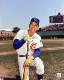 Johnny Callison Chicago Cubs Signed 8x10 Baseball Photo BAS
