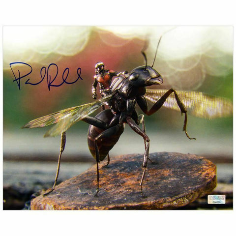 Paul Rudd Autographed Ant-Man atop Antony 8x10 Scene Photo