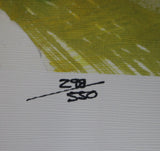 Dan Dierdorf Autographed Arizona Cardinals Hall Of Fame LE 24x36 Print JSA 36634
