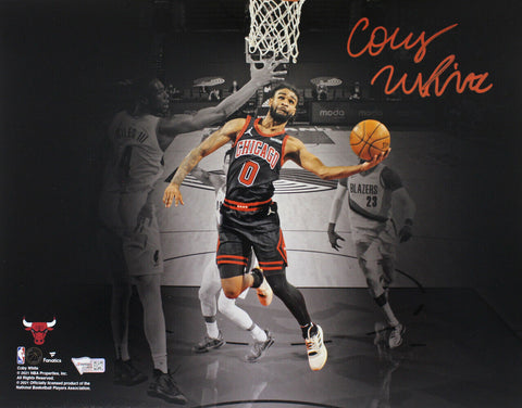 Coby White Autographed Chicago Bulls Spotlight 11x14 Photograph Fanatics 35463