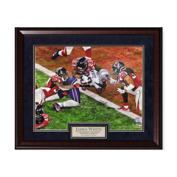 James White Signed Autographed 16x20 Photograph Framed To 20x24 Fanatics
