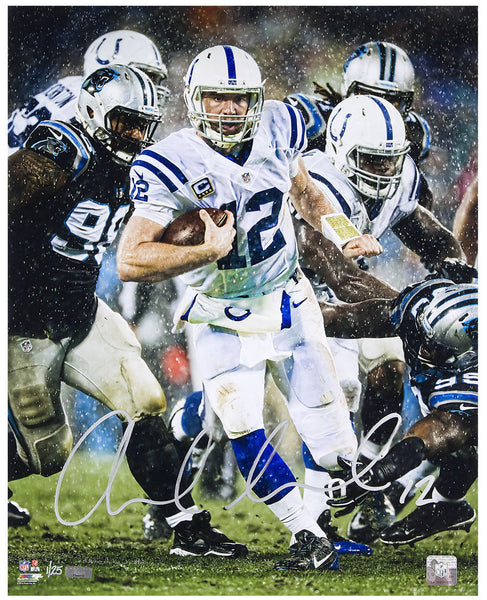 ANDREW LUCK Hand Signed 16 x 20 "Downpour" Photograph PANINI LE 25