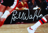 Bill Walton Autographed 16x20 Post Up Photo-Beckett W Hologram *White