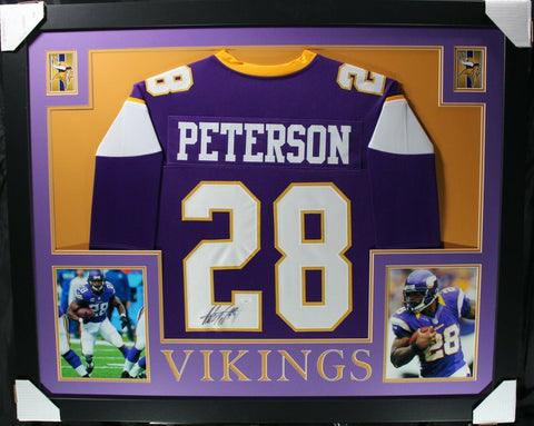 ADRIAN PETERSON (Vikings purple SKYLINE) Signed Autographed Framed Jersey JSA