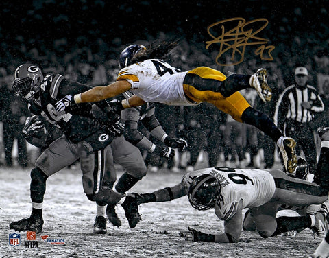 Troy Polamalu Pittsburgh Steelers Autographed 11'' x 14'' Spotlight Photograph