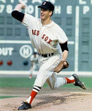 Jim Lonborg Signed Boston Red Sox Jersey (Beckett) 1967 Cy Young Award Winner