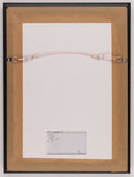 Darryl Dawkins Signed Nets 15x20 Custom Framed Cut Display Inscribed "Nets" JSA