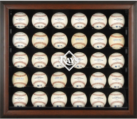 Tampa Bay Rays Logo Brown Framed 30-Ball Display Case-Fanatics