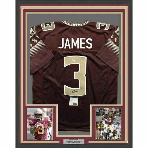 FRAMED Autographed/Signed DERWIN JAMES 33x42 Florida State Red Jersey PSA COA