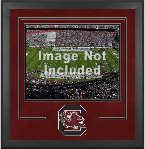 South Carolina Gamecocks Deluxe 16" x 20" Horizontal Photo Frame with Team Logo