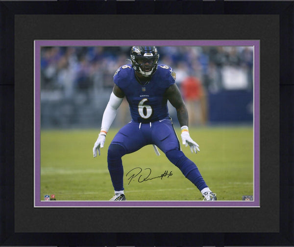 FRMD Patrick Queen Baltimore Ravens Signed 16x20 Purple Back Pedal Photograph