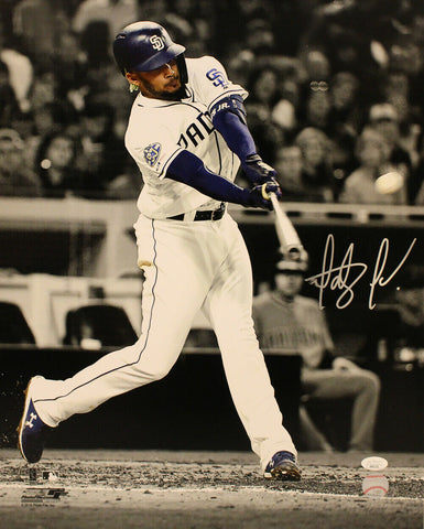 Fernando Tatis Autographed/Signed San Diego Padres 16x20 Photo JSA 34445