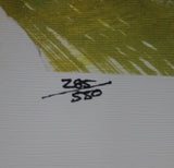 Dan Dierdorf Autographed Arizona Cardinals Hall Of Fame LE 24x36 Print JSA 36635