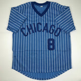 Autographed/Signed ANDRE DAWSON Chicago Blue Pinstripe Baseball Jersey JSA COA