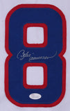 Andre Dawson Signed Chicago Cubs Highlight Stat Jersey (JSA COA) 8xAll-Star