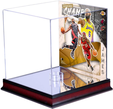 LeBron James Lakers Basketball Display Fanatics Authentic