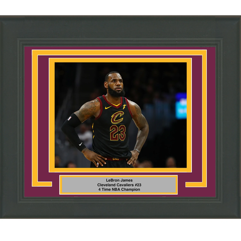 Framed LeBron James Cleveland Cavaliers 8x10 Basketball Photo