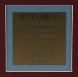Steve Carlton Philadelphia Phillies Signed 33x41 Framed Jersey Display (JSA)