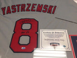 Carl Yastrzemski YAZ Framed 35x43 Red Sox Jersey / 1967 MVP & Triple Crown