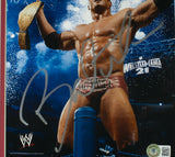 Dave Batista Signed Framed 8x10 WWE Wrestling Photo BAS