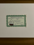 Ted Williams Stan Musial Signed Autographed Photo Framed to 14x17 Green Diamond