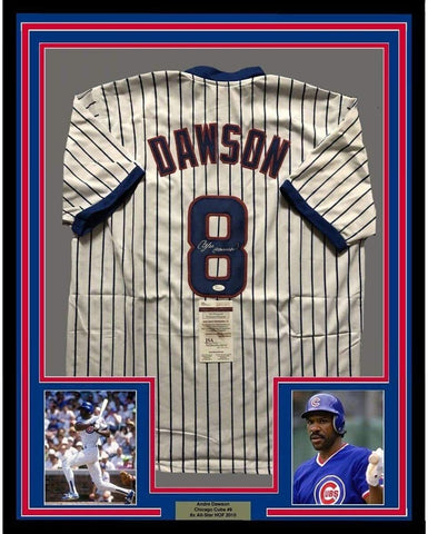 Framed Autographed/Signed Andre Dawson 33x42 Chicago Pinstripe Jersey JSA COA